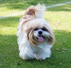 images (1) images (1)